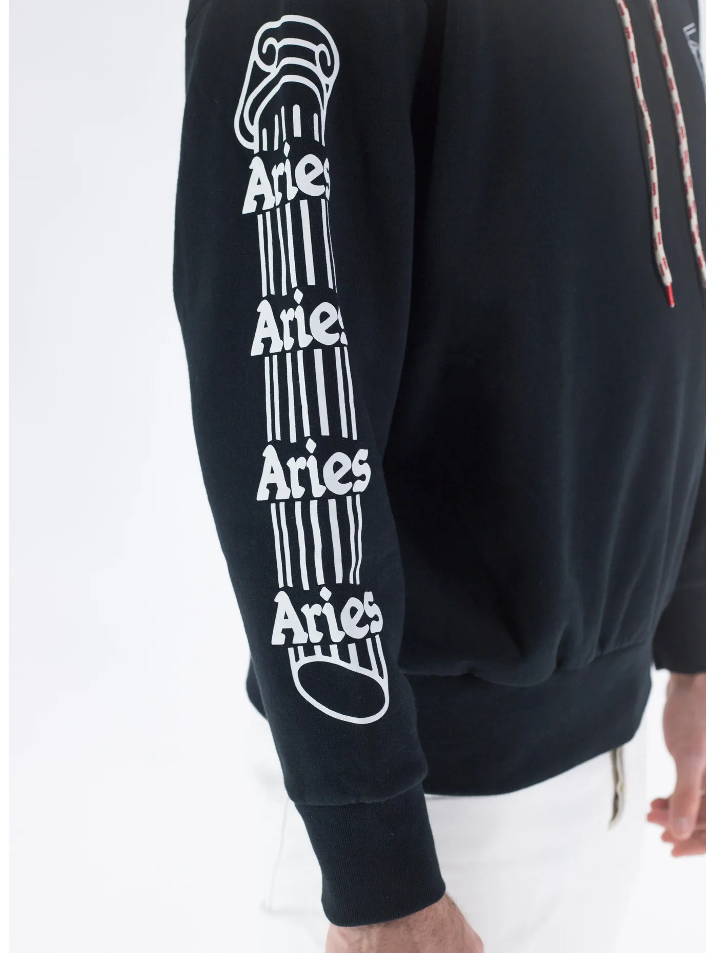     -ARIES    -FELPA COLUMN HOODIE-